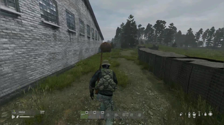 【2021-04-15 21点场】dayz韩爱东西：随便玩玩，直播末日