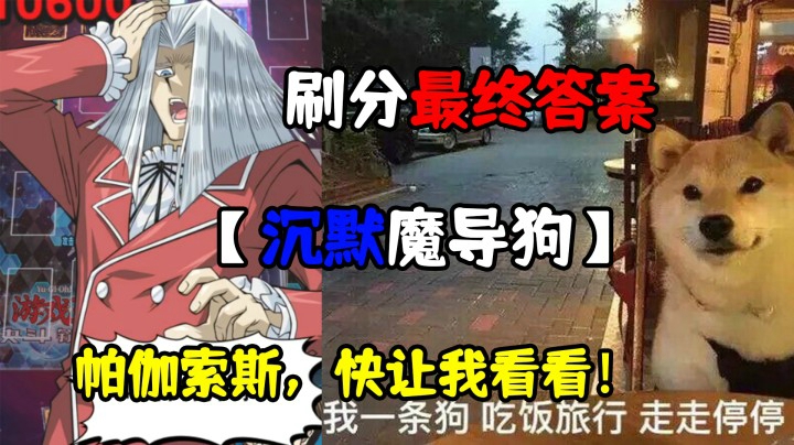 刷分最终答案构筑【沉默魔导狗】帕伽索斯，快让我看看！