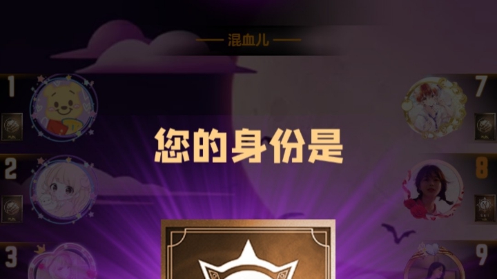 混血儿混子