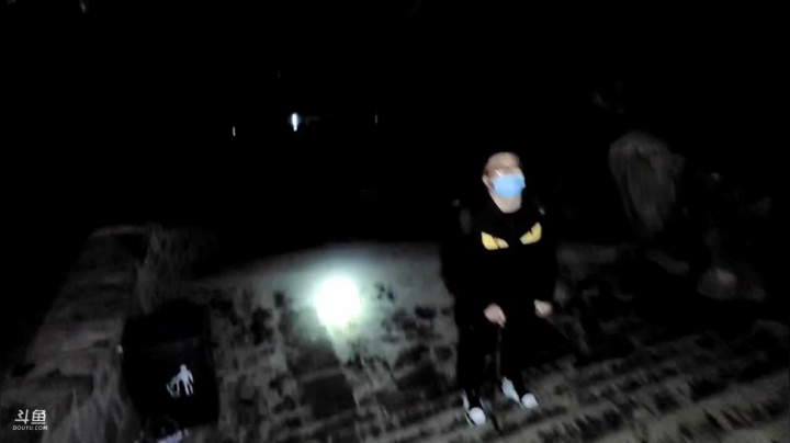 【2021-04-16 22点场】小鱼小鱼吃虾米：我要爬泰山了，你们能让我七上七下？