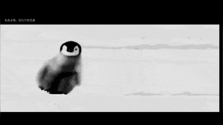 【2021-04-13 09点场】史维佳：刚刚开始了