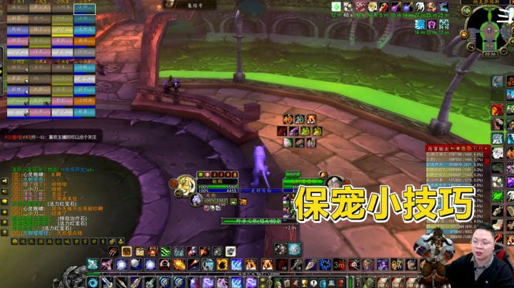 魔兽世界怀旧服：瘟疫区宠物站位分享，狗子也能活全程！