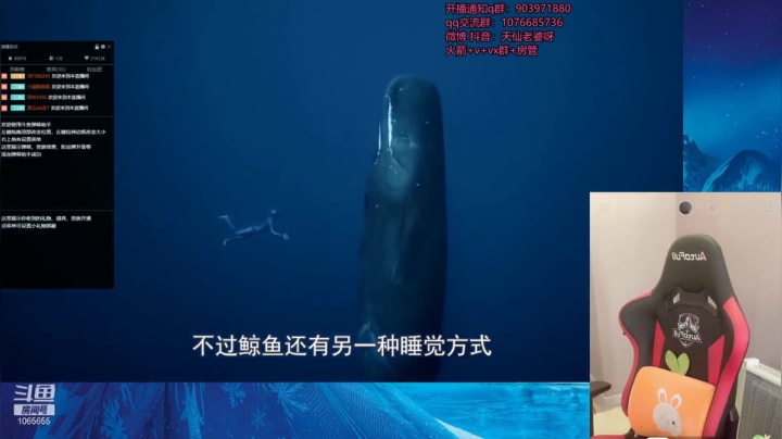 【2021-04-17 17点场】天仙老婆呀：女螳螂：有车位哦~