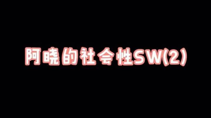 阿晓的社会性sw2