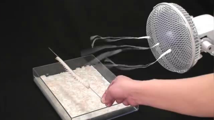 日本料理  龙鳞