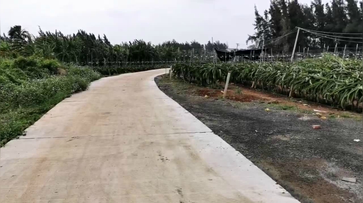 【2021-04-18 16点场】在线天文：硇洲岛-中国最大的火山岛