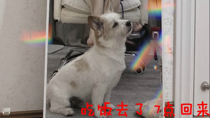 【2021-04-19 15点场】李哥儿DoubleLee：要相信光啊 5517219