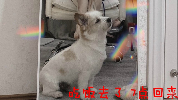 【2021-04-19 17点场】李哥儿DoubleLee：要相信光啊 5517219