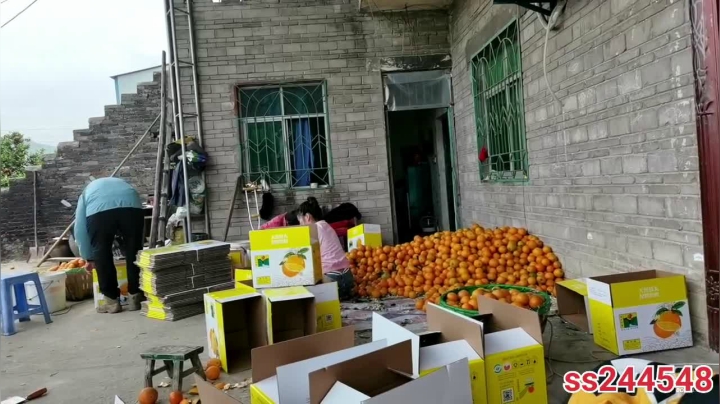 【2021-04-19 13点场】叶子户外：《纪实直播》新疆之旅→西北察尔汗盐湖