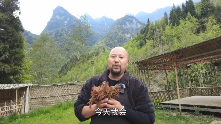 四时有序 节气有令——谷雨