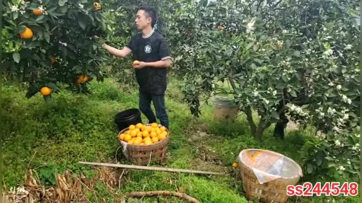 【2021-04-19 15点场】叶子户外：《纪实直播》新疆之旅→西北察尔汗盐湖