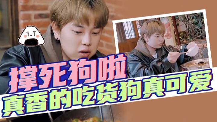 长沙来死狗：撑死狗啦，真香的吃货狗真可爱