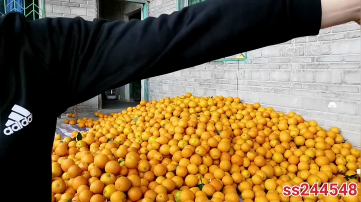 【2021-04-19 10点场】叶子户外：《纪实直播》新疆之旅→西北察尔汗盐湖