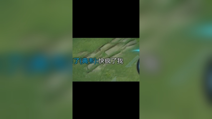 “典韦,为什么不相信队友？？？”