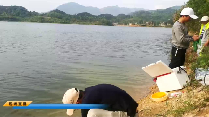 【2021-04-20 16点场】中华户外钓鱼：直播中，水库钓鱼