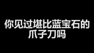 你见过堪比蓝宝石的爪子刀吗