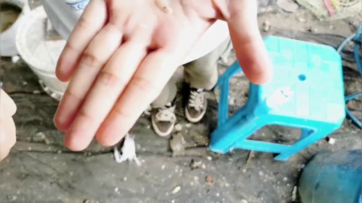 【2021-04-19 14点场】在线天文：硇洲岛-海龟城