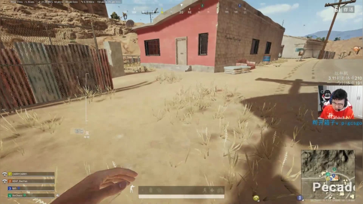 我在斗鱼看pigff直播绝地求生