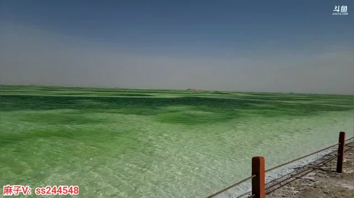 【2021-04-20 16点场】叶子户外：《纪实直播》新疆之旅→西北察尔汗盐湖