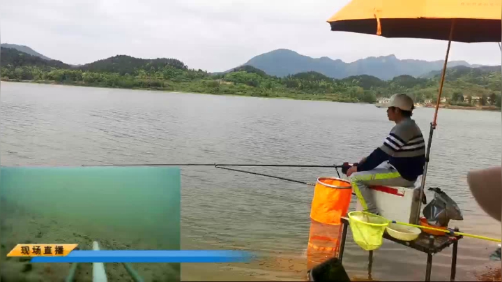 【2021-04-20 12点场】中华户外钓鱼：直播中，水库钓鱼