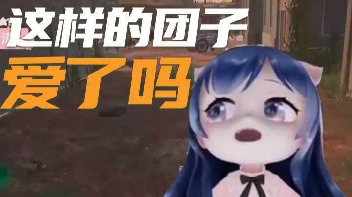 【一条小团团】这样的团子你们爱了吗