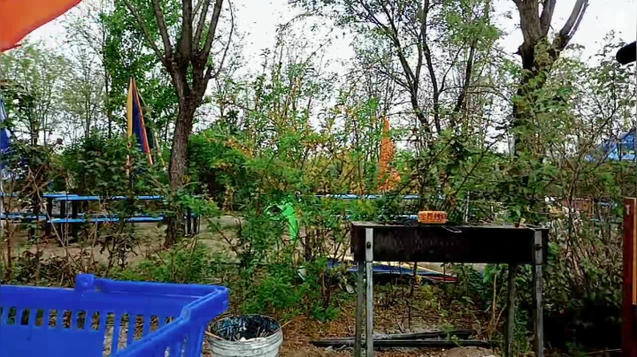 【2021-04-21 14点场】o北京老王o：兔森林烧烤