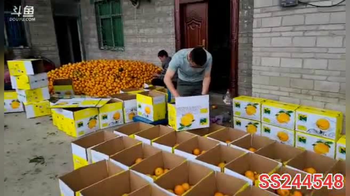 【2021-04-21 11点场】叶子户外：《纪实直播》新疆之旅→西北察尔汗盐湖