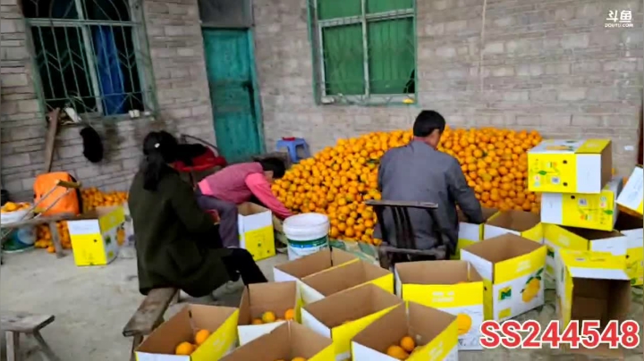 【2021-04-21 11点场】叶子户外：《纪实直播》新疆之旅→西北察尔汗盐湖