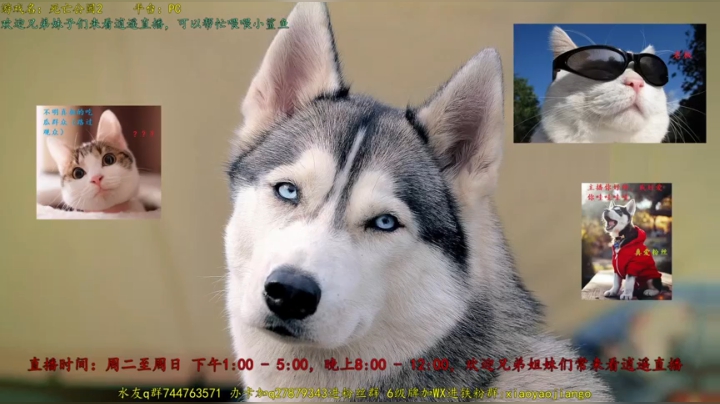 【2021-04-21 13点场】逍遥酱o：【逍遥】新人主播第一天直播，很紧张怎么办