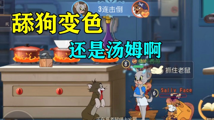 猫和老鼠手游：新猫“凯特”天梯表现