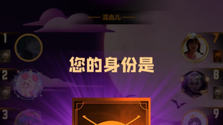 混血儿枪牌