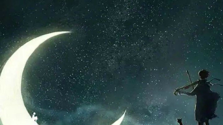 乒乒乓乓胖胖胖