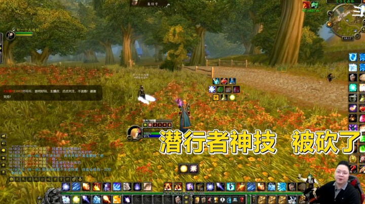 魔兽世界怀旧服：1.1.7版本更新后，潜行者被削弱！PVP玩家哭了