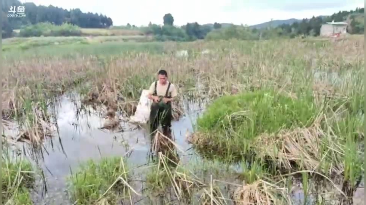 【2021-04-20 18点场】绵阳大娃：安全到达，继续努力