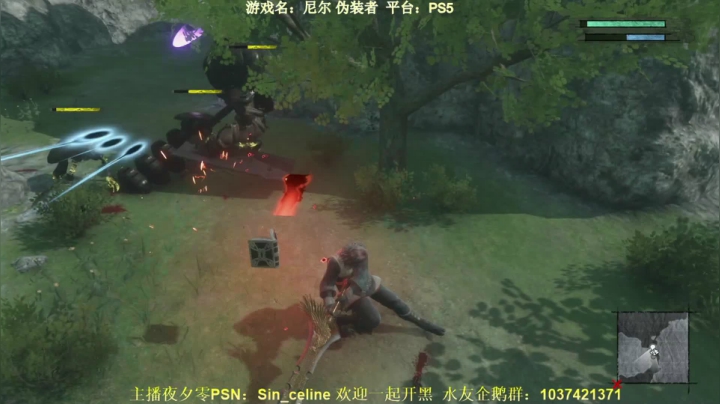 【2021-04-24 14点场】夜夕零：【PS5】凯宁篇尼尔伪装者之旅