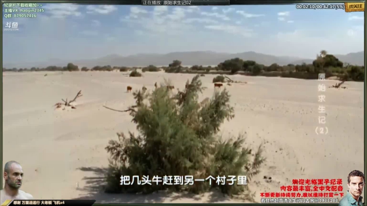 【科普】黑子影视haoyin1234的精彩时刻 20210424 21点场