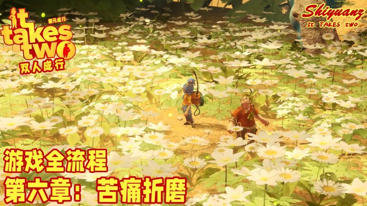 十元の《双人成行》全流程 6-5【苦痛折磨】：你有可能重新接受TA么？