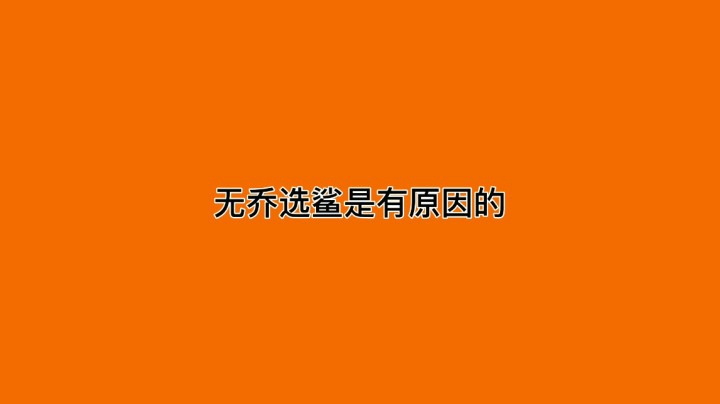 无乔选鲨是有原因的