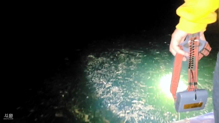 【2021-04-25 20点场】魅力生活i：水库叉鱼。