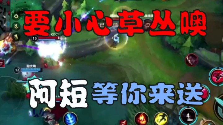 阿短的鱼击杀集锦：要小心草丛噢！阿短等你来送！