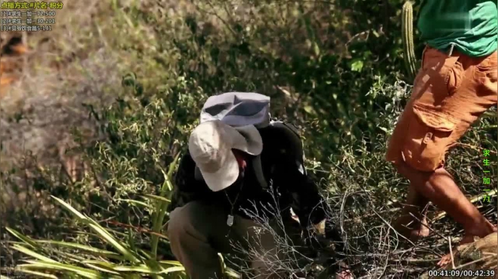 【科普】酷炫你你你的精彩时刻 20210425 11点场