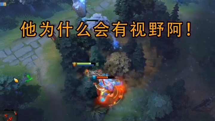 好奇怪阿 他怎么会有视野