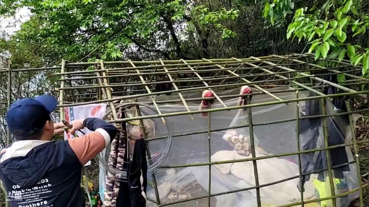 【2021-04-26 15点场】魅力生活i：久违的水库