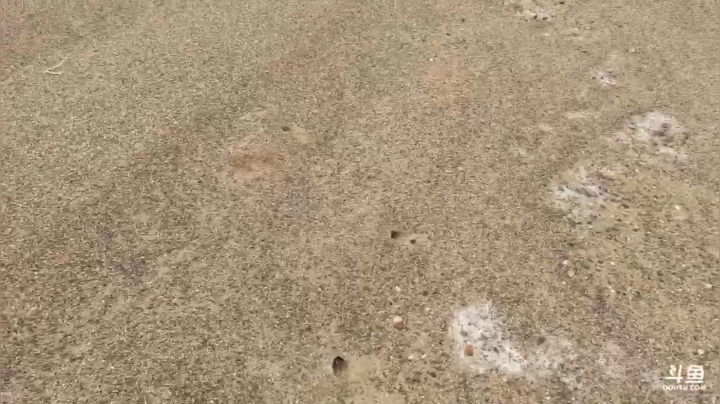 【2021-04-26 16点场】叶子户外：《纪实直播》新疆之旅→青海茫崖千佛崖