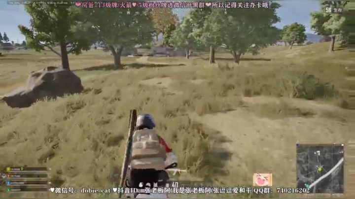 【2021-04-17 20点场】张逗逗就是张老板阿：张老板阿~和平撩路人再pubg欢乐局