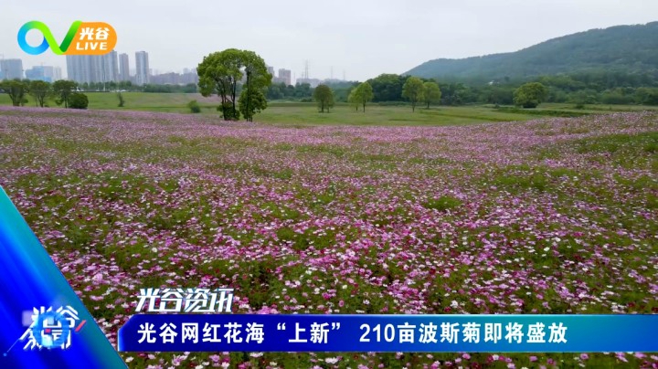 第四十二周光谷新闻周二版0427