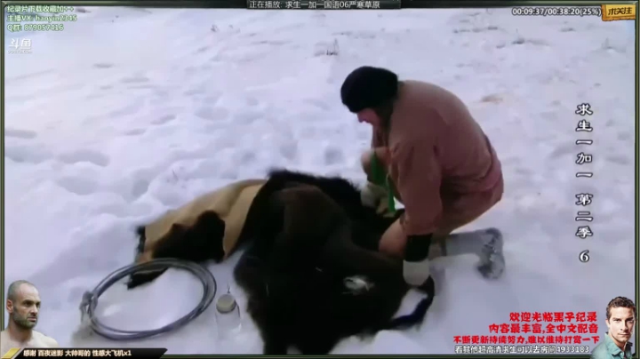 【科普】黑子影视haoyin1234的精彩时刻 20210428 23点场