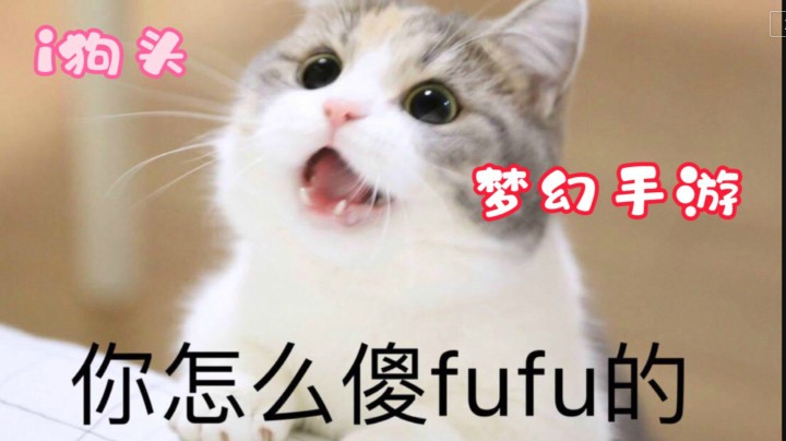 i狗头【梦幻手游】毁灭吧我累了