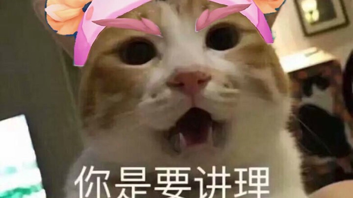 哼打游戏就必须骂骂咧咧的