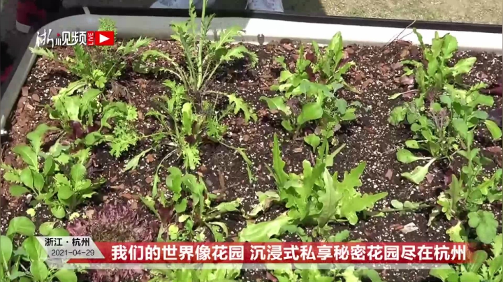 【2021-04-29 13点场】浙江日报直播室：沉浸式私享秘密花园尽在杭州